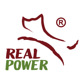 REAL POWER 瑞威
